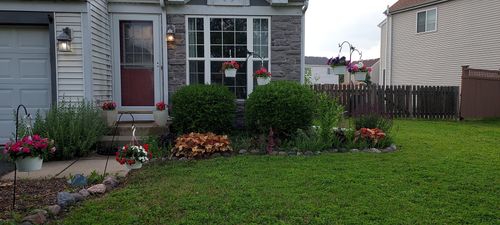 917 Prairie Path Ln, Joliet, IL, 60436-9738 | Card Image