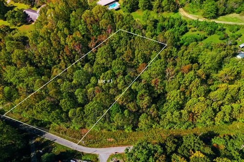 0 Timber Lake Drive, Cosby, TN, 37722 | Card Image