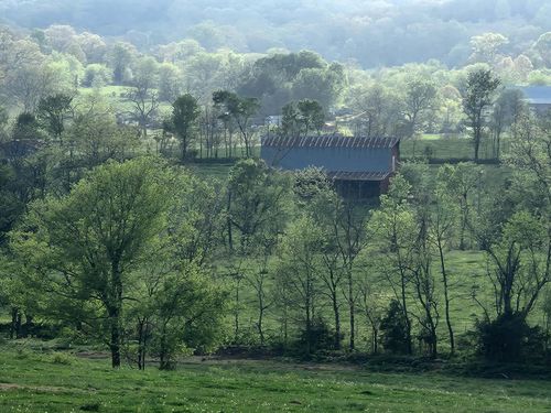 Tbd Little Creek Rd, Mountain Grove, MO, 65711 | Card Image