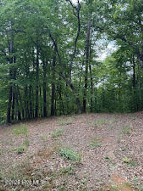 Lot #46 Pine Cove Ln, Murphy, NC, 28906 | Card Image