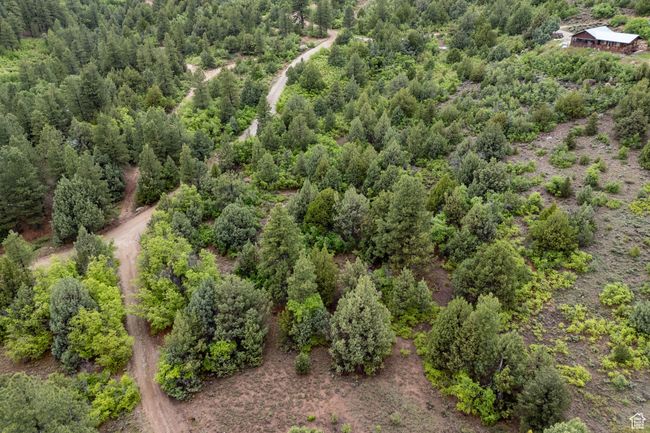 Aerial view | Image 13