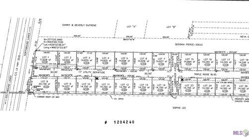 Lot 13 Triple Ridge Blvd, Cut Off, LA, 70345 | Card Image