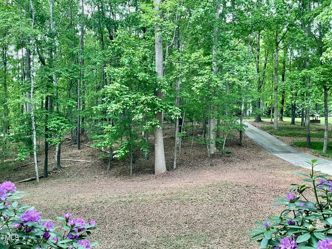 View from Front Porch | Image 5