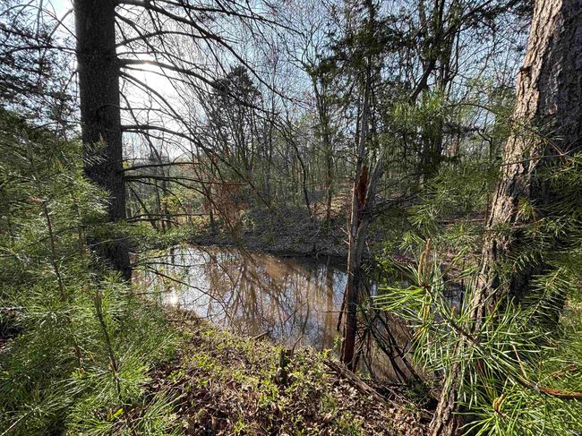 10321 W 750 N, Home with 0 bedrooms, 0 bathrooms and null parking in Jasonville IN | Image 13