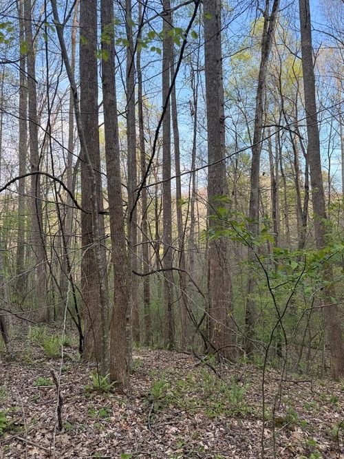 Lot 2 Anns Ln, Hayesville, NC, 28904 | Card Image