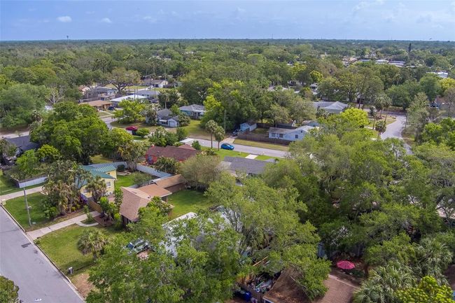 1536 Alamo Ln, House other with 3 bedrooms, 2 bathrooms and null parking in DUNEDIN FL | Image 55