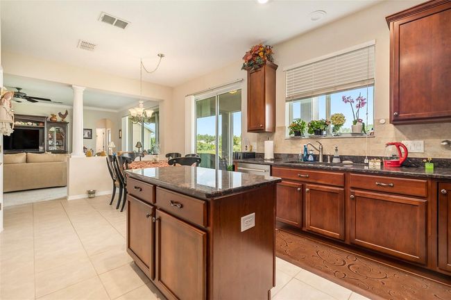 20251 Ravens End Dr, House other with 5 bedrooms, 4 bathrooms and null parking in TAMPA FL | Image 15