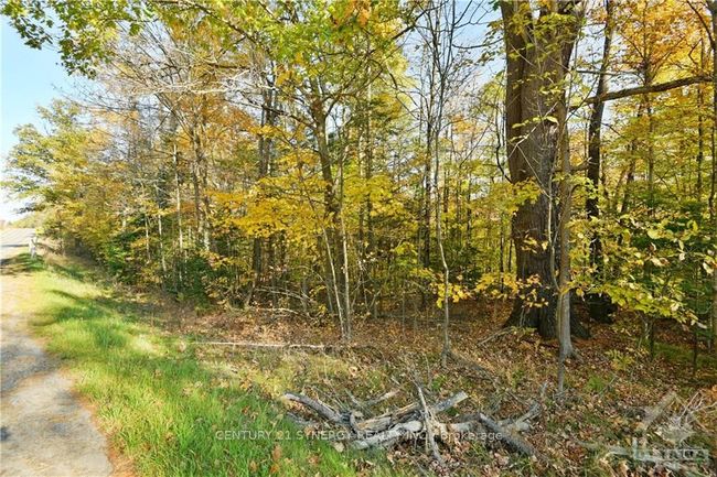 2255 A Calabogie Rd, Home with 0 bedrooms, 0 bathrooms and null parking in Burnstown ON | Image 6