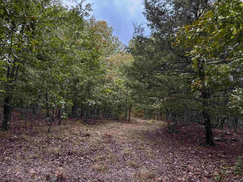 000 S 5 Highway, Mountain View, AR, 72560 | Card Image