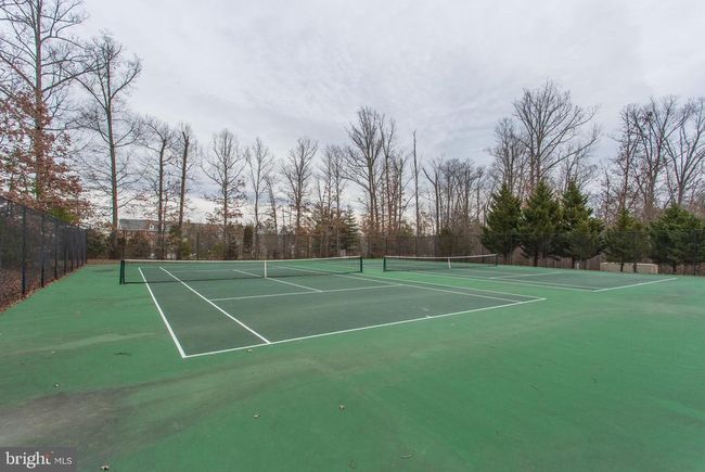 10136 Pale Rose Loop, Townhouse with 3 bedrooms, 3 bathrooms and null parking in BRISTOW VA | Image 64