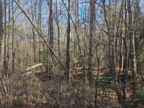 0 S Red Rd, Shepherd, TX, 77371 | Card Image