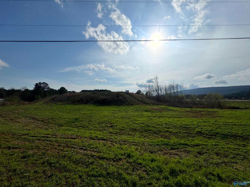 5.88 acres Us Highway 411, Leesburg, AL, 35983 | Card Image