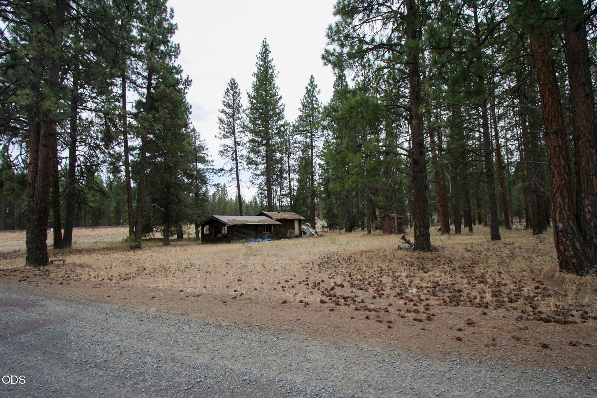 Land in Bonanza 3