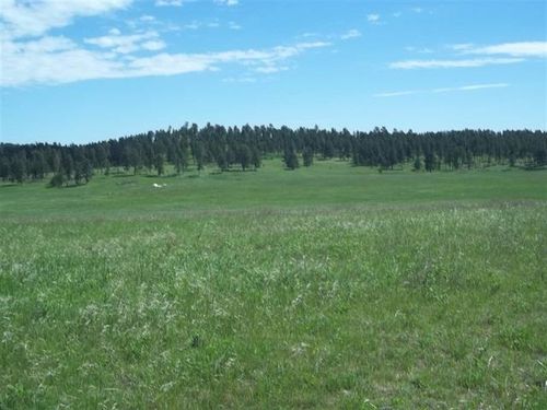 TBD War Bonnet Rd, Custer, SD, 57730 | Card Image