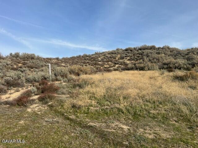 Land in Lake Elizabeth