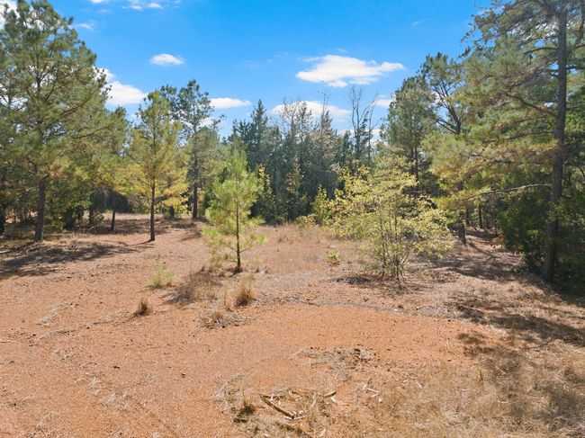 View of landscape | Image 31