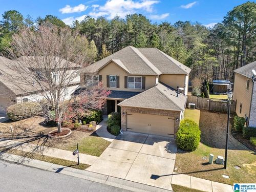 161 Chelsea Station Dr, CHELSEA, AL, 35043-3073 | Card Image