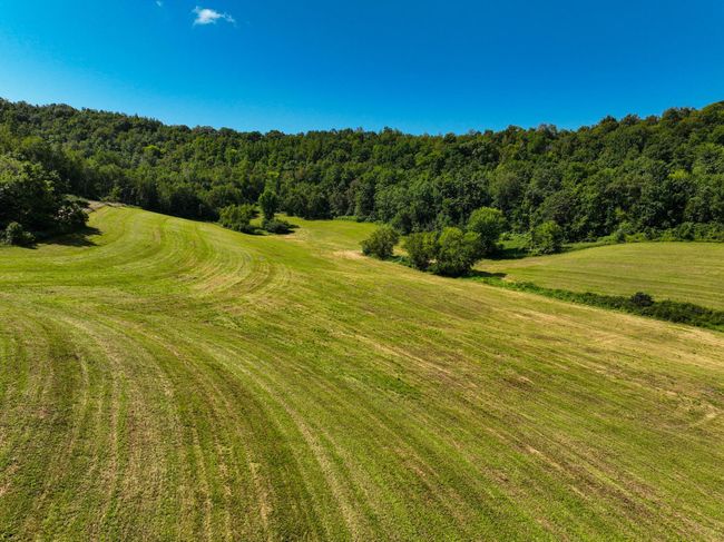 DJI_0386.jpg | Image 13