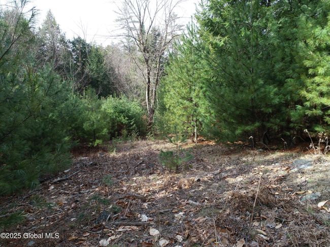 5127 State Route 8, Home with 0 bedrooms, 0 bathrooms and null parking in Chestertown NY | Image 9
