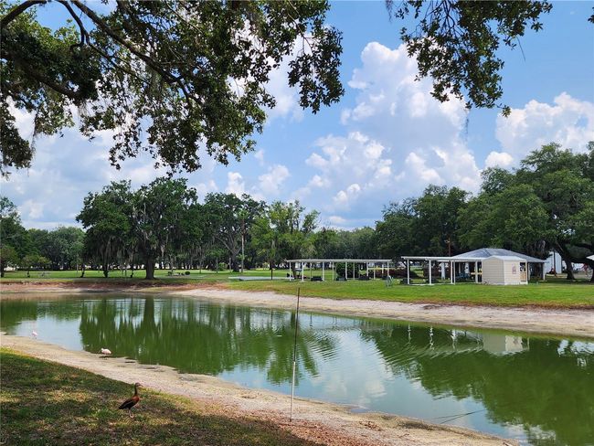 5144 Betmar Dr, Home with 0 bedrooms, 0 bathrooms and null parking in ZEPHYRHILLS FL | Image 15