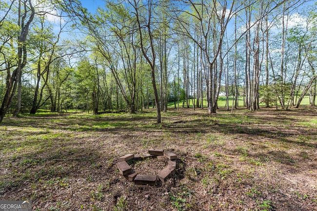 812 Lickskillet Rd, House other with 4 bedrooms, 3 bathrooms and null parking in Epworth GA | Image 41