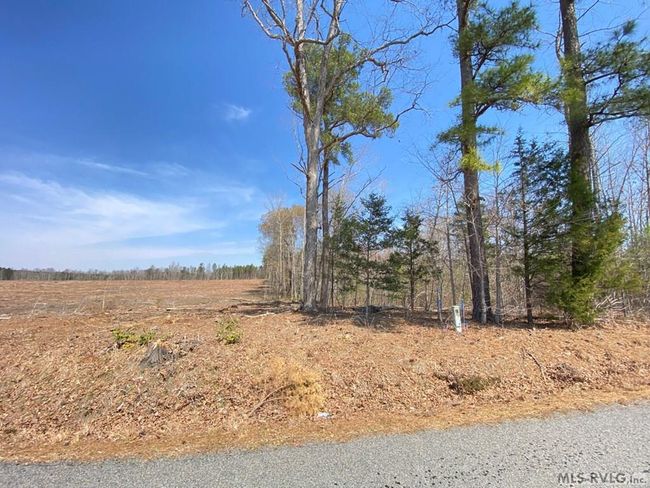32.49 Ac Chalk Level Rd, Home with 0 bedrooms, 0 bathrooms and null parking in Alberta VA | Image 18