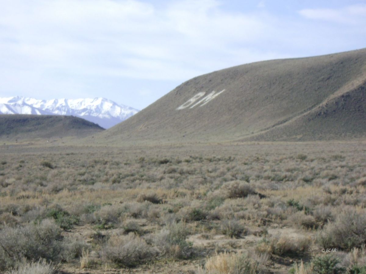 Land in Battle Mountain 4