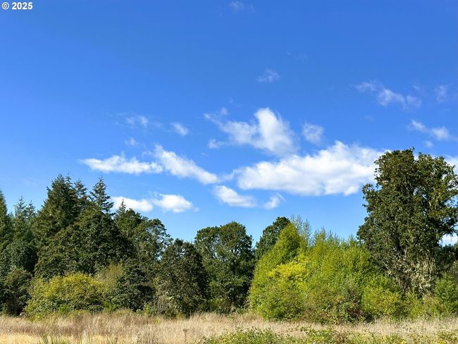 23025 W Sheffler Rd, Home with 0 bedrooms, 0 bathrooms and null parking in Elmira OR | Image 33