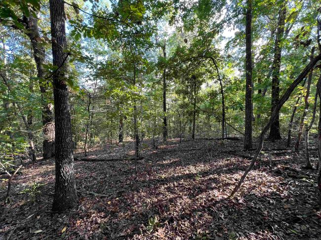 654 Warrior Rd, House other with 1 bedrooms, 1 bathrooms and null parking in Harriet AR | Image 20