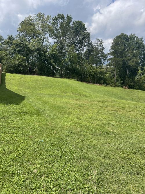 8504 Beautiful Valley Dr, Nashville, TN, 37221 | Card Image