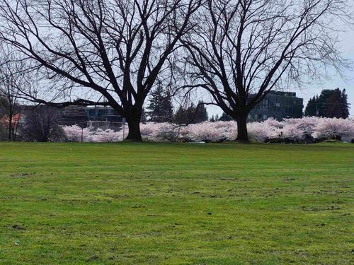 204-375 W 59th Ave, Vancouver, BC, V5X0J4 | Card Image