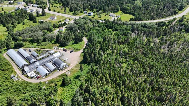 9651 Grenville St, Home with 0 bedrooms, 0 bathrooms and 1 parking in Saint Peters NS | Image 43