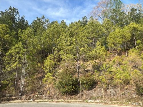 0 Stone Ridge Pkwy, Brookwood, AL, 35444 | Card Image