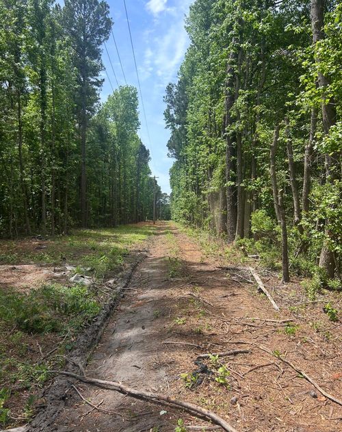 N/A Graham St, Saint Stephen, SC, 29479 | Card Image