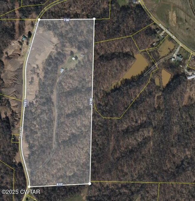 3454 Treece Rd, Home with 2 bedrooms, 1 bathrooms and null parking in Hornbeak TN | Image 17