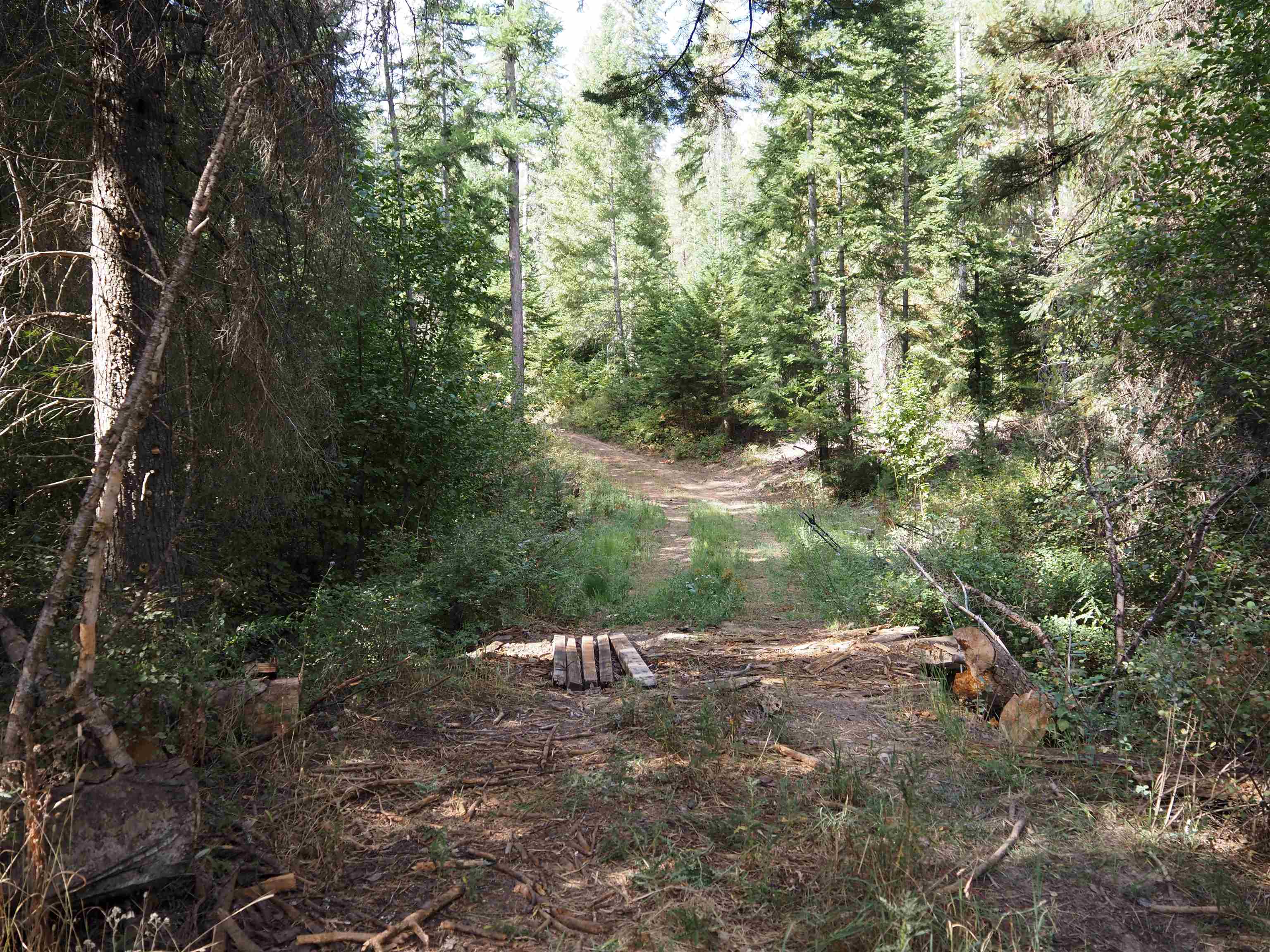 Getna Way, Springdale, WA 99173