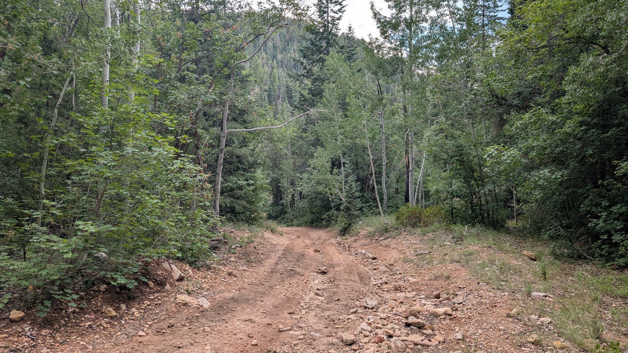 Land in Duck Creek Village 5