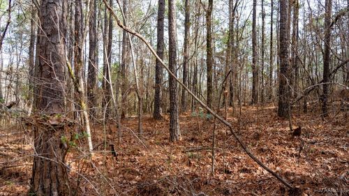 1 Dove Ct, WILSONVILLE, AL, 35186 | Card Image