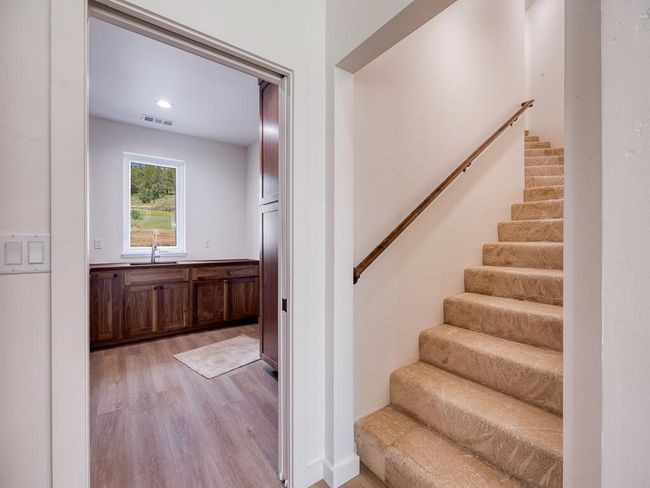 1168 Paper Birch-16 | Image 16