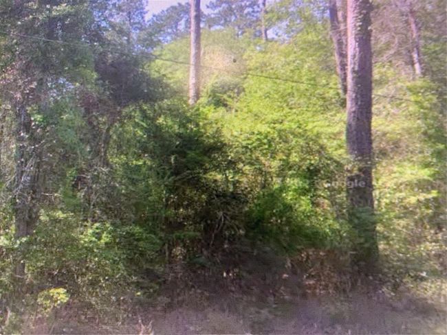 0 E Parkway Dr, Home with 0 bedrooms, 0 bathrooms and null parking in Conroe TX | Image 6