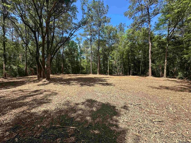 23547 Heritage Acres Ln, Home with 0 bedrooms, 0 bathrooms and null parking in Robert LA | Image 7