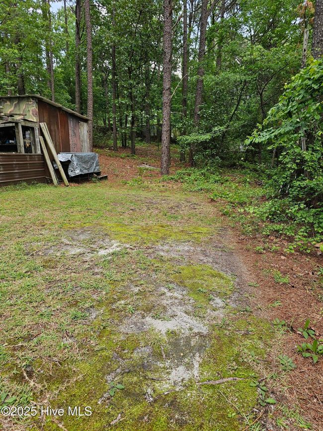 181 Joel Rd, Home with 0 bedrooms, 0 bathrooms and null parking in Carthage NC | Image 19