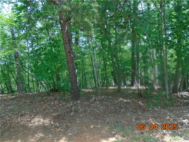 1000 E Cedar Creek Rd, Home with 0 bedrooms, 0 bathrooms and null parking in Sunset SC | Image 16