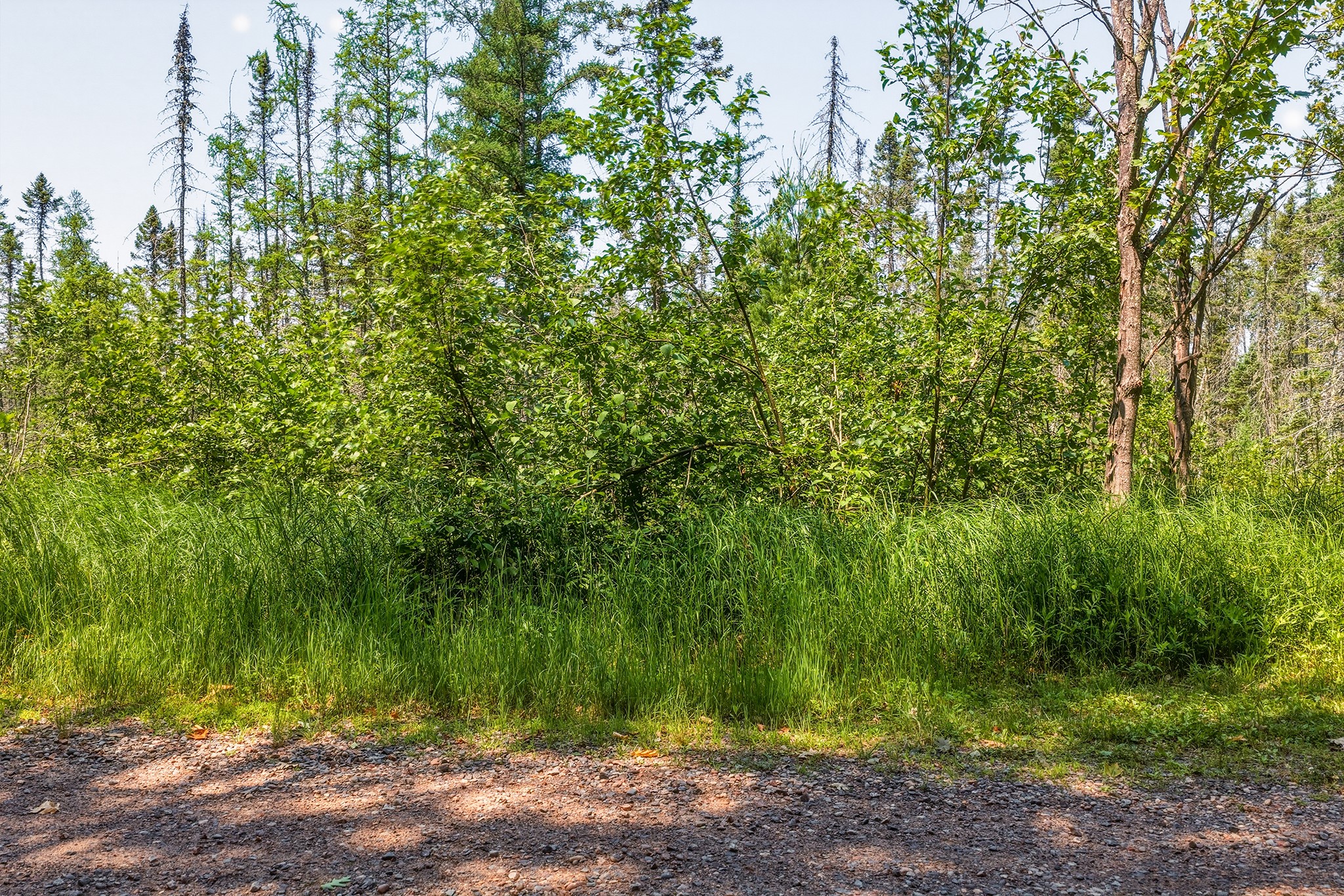Land in Hayward 5