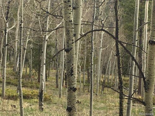 1 Bonus Gulch Way, Jefferson, CO, 80456-9746 | Card Image