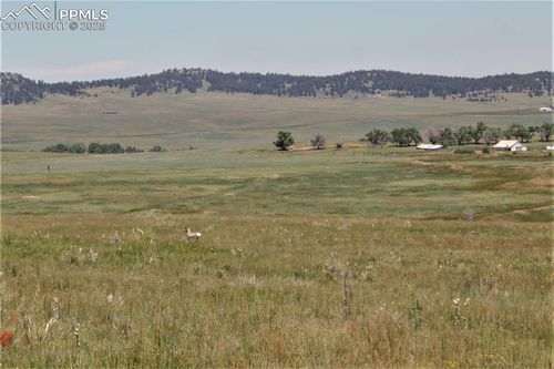 Tract 17 Sweet Road, Calhan, CO, 80808 | Card Image