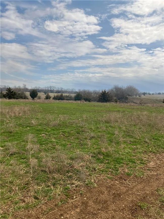 View of local wilderness with a rural view | Image 11