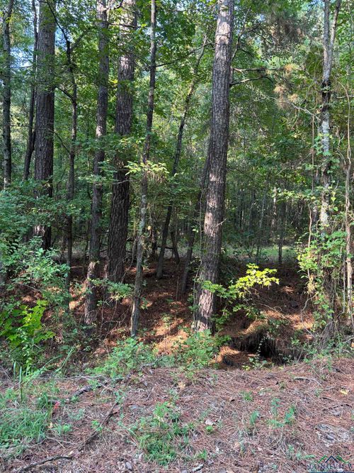 TBD County Road 2592, Naples, TX, 75568 | Card Image