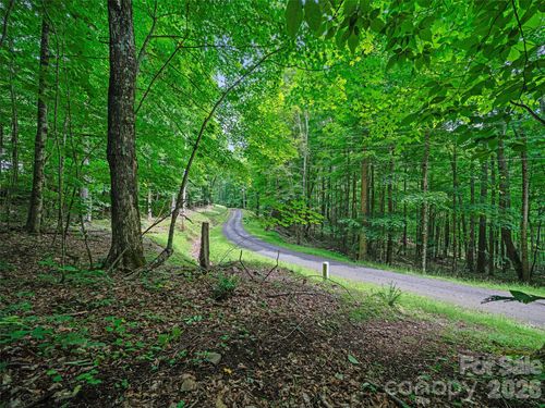 8b-000 Shadow Moss Drive, Burnsville, NC, 28714 | Card Image