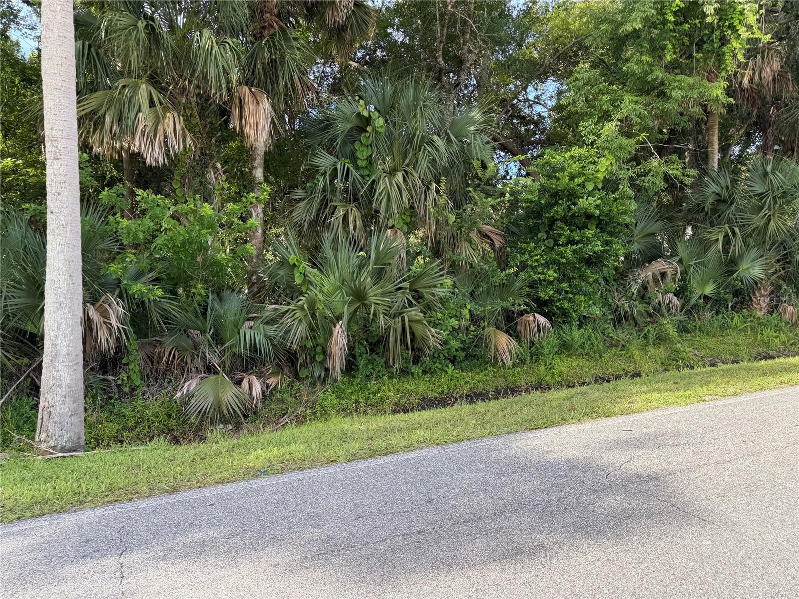 Land in NEW SMYRNA BEACH 2
